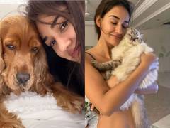 
      
      Disha Patani mourns loss of beloved pets Bella, Jasmine
      
      
