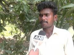 
      
      Mango farmers in Madurai leave produce to rot as prices crash
      
      