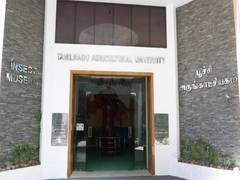 
      
      First Insect Museum at TNAU to open online gateway
      
      