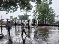 
      
      Monsoon to intensify across Himachal; IMD warns of heavy rain
      
      