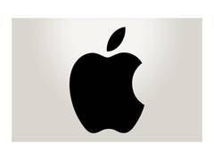 
      
      Apple picks holes in India's antitrust investigation: Report
      
      