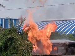 
      
      Fire breaks out at Haldia Petrochemicals pipeline in West Bengal
      
      