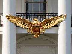 
      
      Trump shares AI-generated eagle to mark US' 250th birthday
      
      