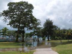 
      
      ‘Long Island’ project to shield Singapore coast from rising sea
      
      