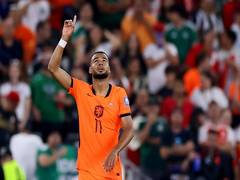 
      
      Netherlands thank players and fans, decry abuse after WC exit
      
      