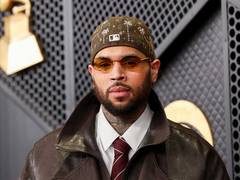 
      
      Chris Brown faces USD 13 million verdict in dog mauling case
      
      