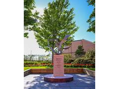 
      
      Liverpool unveil 'Forever 20' memorial to honour Diogo Jota
      
      