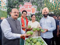 
      
      Delhi CM Rekha Gupta inaugurates 35th Annual Mango Festival
      
      