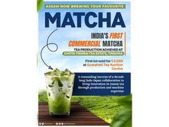 
      
      Assam tea estate launches India’s first Matcha tea
      
      