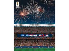 
      
      USA records highest WC attendance in history, says FIFA
      
      