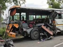 
      
      One dead, several injured after bus-tractor trolley collision
      
      