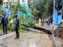
      
      Schools in Mumbai Metropolitan Region to remain shut tomorrow
      
      
