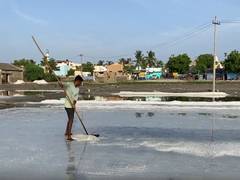 
      
      TN: Thoothukudi salt pan workers seek better welfare support
      
      