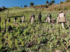 
      
      Golden Crescent remains world's primary opiate trafficking hub: R
      
      