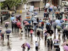 
      
      IMD warns of heavy to very heavy rain in four Himachal districts
      
      
