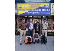 
      
      Himachal: 242 gm of heroin seized near Shoghi; three arrested
      
      