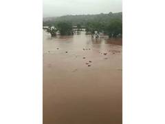 
      
      Raigad: 3,000 HPCL gas cylinders swept away into Patalganga river
      
      
