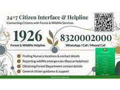 
      
      Gujarat Forest helpline eases access to saplings, services
      
      