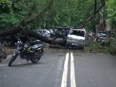 
      
      Delhi: Tree falls on van in Rohini following heavy rainfall
      
      