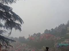 
      
      Fresh spells of rain disrupt normal life across Himachal Pradesh
      
      