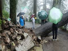 
      
      Heavy rain disrupts normal life in Shimla
      
      