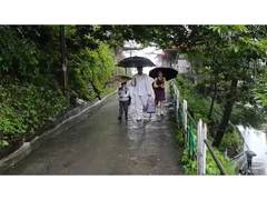 
      
      Pachhad records 207 mm rainfall as active monsoon batters HP
      
      