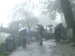 
      
      Himachal Pradesh: Officials assess situation, review rescue opera
      
      