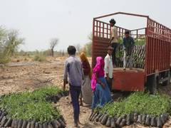 
      
      Gujarat's Van Kavach model launched at Godhavi Village
      
      