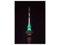 
      
      New Zealand: Sky Tower sports iconic tricolour
      
      