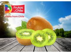 
      
      Premium Chilean Kiwifruit Arrives in India
      
      