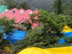 
      
      Heavy rain triggers landslide scare in Shimla's Sanjauli
      
      