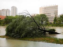 
      
      1.7 mn evacuated as typhoon Bavi wreaks havoc in China
      
      