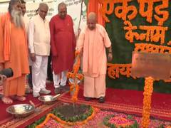 
      
      CM Yogi to launch Maha Vriksharopan 2026 initiative in UP
      
      