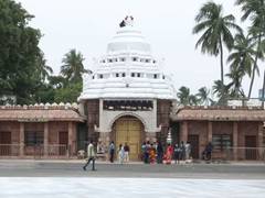 
      
      Preparations gather pace at Gundicha Temple in Puri ahead of Rath
      
      