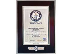 
      
      AMC sets Guinness World Record, plants 3.61 lakh trees in 1 hrs
      
      
