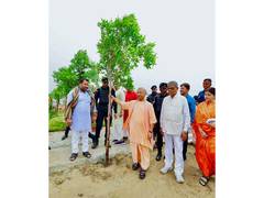 
      
      UP achieves target of planting 40 crore saplings