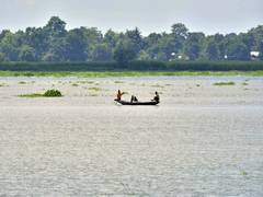 
      
      President Murmu, PM Modi express grief over Bengal boat tragedy
      
      