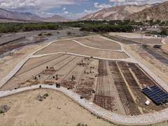 
      
      India's highest commercial Lilium cultivation begins in Ladakh
      
      