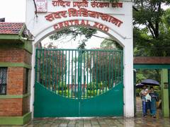 
      
      Nepal’s Central Zoo welcomes visitors after 27 days
      
      