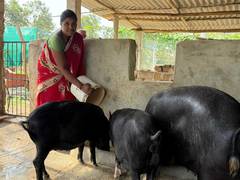 
      
      'Lakhpati Didi' inspires several to become self-reliant
      
      