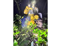 
      
      Uttarakhand: 2 injured after car plunges into gorge in Nainital;
      
      