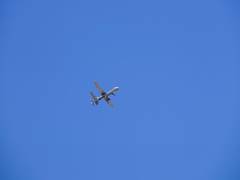 
      
      MQ-9 drone reportedly shot down over western Iran
      
      