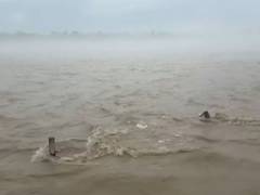 
      
      Char Dham Yatra halts amid heavy rain in Uttarakhand
      
      