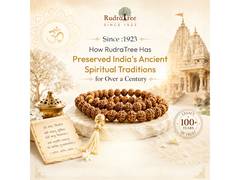 
      
      Since 1923: How RudraTree Has Preserved India's Ancient
      
      