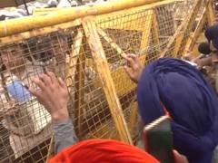 
      
      Farmers gather at Shambhu Border ahead of today's Delhi march
      
      