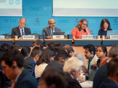 
      
      India backs rules-based multilateral trading at WTO
      
      