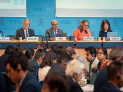 
      
      India reaffirms commitment to rules-based global trade 
      
      