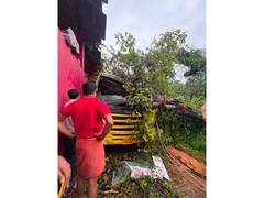
      
      Karnataka: Tree falls on school bus in Dakshina Kannada, 1 child
      
      