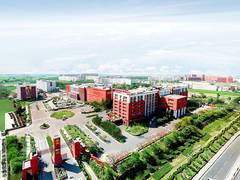 
      
      Chandigarh University's 102 B.Ed. Graduates Secure Teaching
      
      