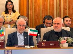 
      
      Iran Interior Minister urges BRICS members to condemn US strikes
      
      